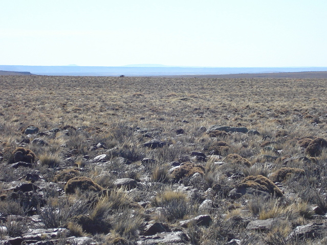 Vista hacia el Norte - View to the North