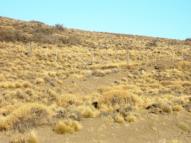 Vista hacia el Este - View to the East