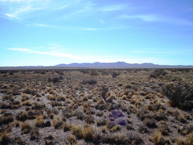 Vista hacia el Este - View to the East