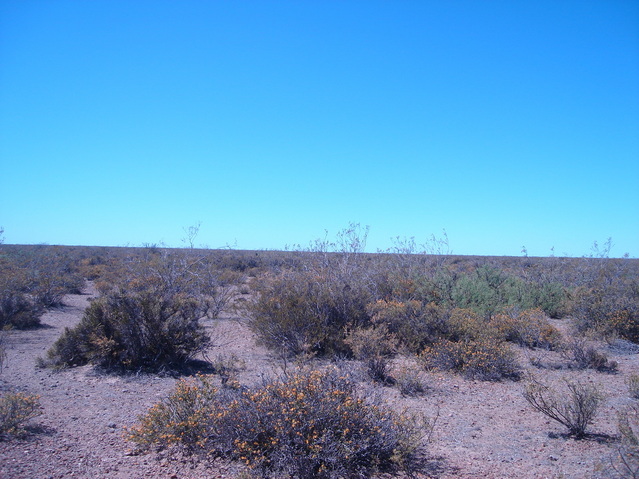 Vista hacia el Sur - View to the South