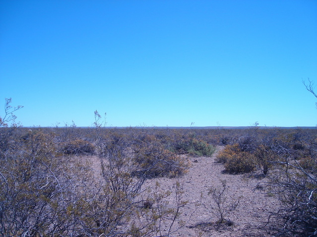 Vista hacia el Norte - View to the North