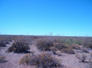 #1: Vista hacia el Sur - View to the South