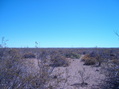 #2: Vista hacia el Norte - View to the North