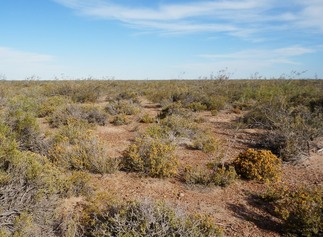 #1: The Confluence from 20 m