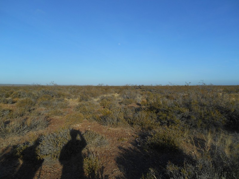 Vista Oeste. West view