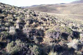 #1: View of the confluence