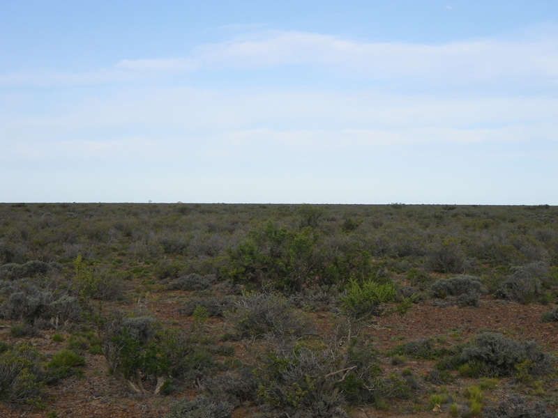 Vista hacia el Este - View to the East