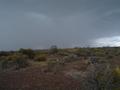 #4: West View