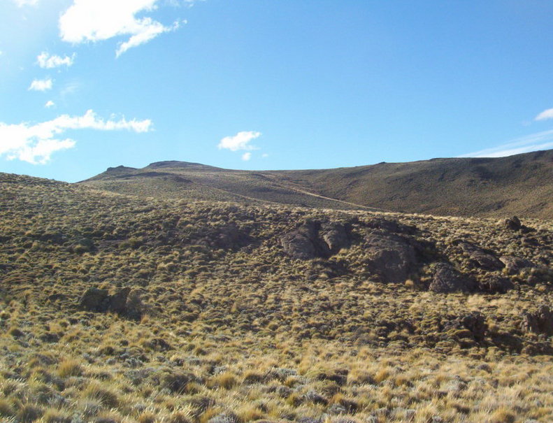 Vista Norte. North view