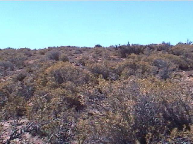 view E