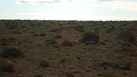 #2: Vista hacia el oeste - View to the West