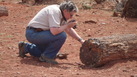 #9: Eduardo fotografiando un tronco petrificado - Eduardo taking pictures of a petrified log
