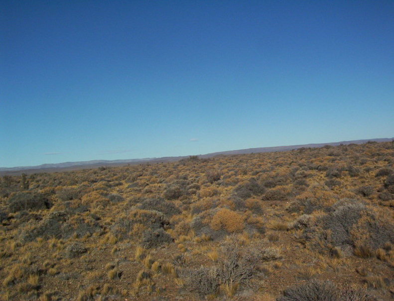 Vista Este. East view