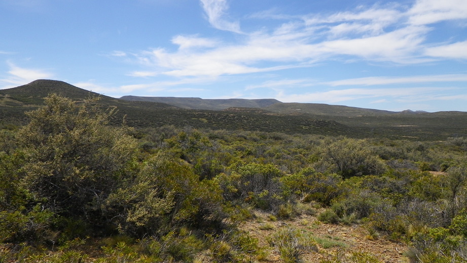 Vista hacia el Este - View to the East