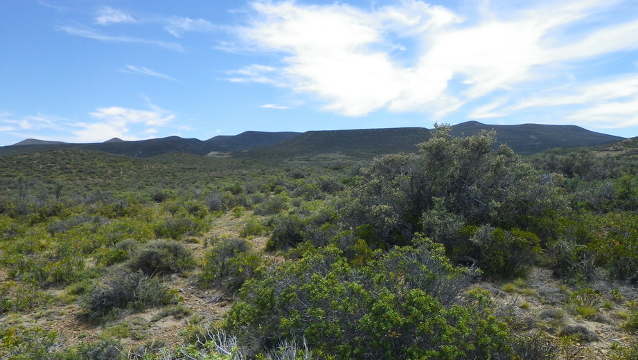 Vista hacia el Norte - View to the North