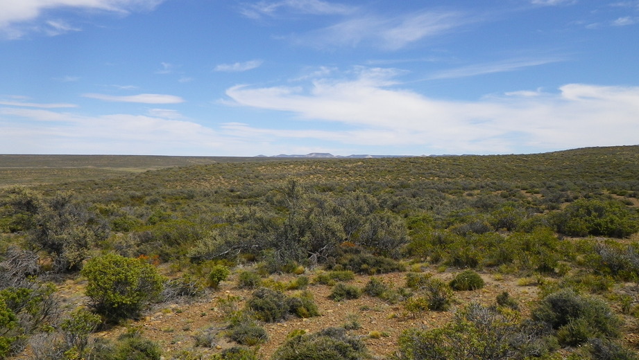 Vista hacia el Oeste - View to the West