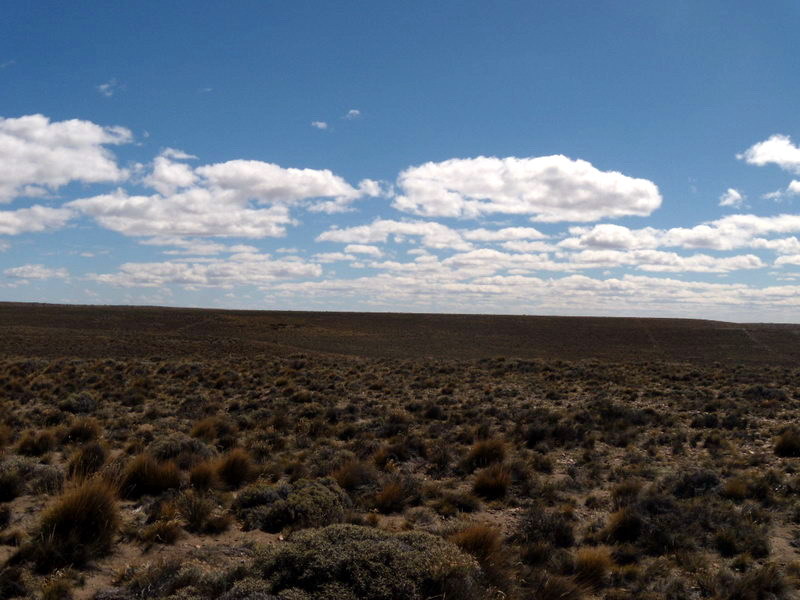 Vista hacia el Norte -View to the North