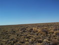 #5: Vista Este. East view