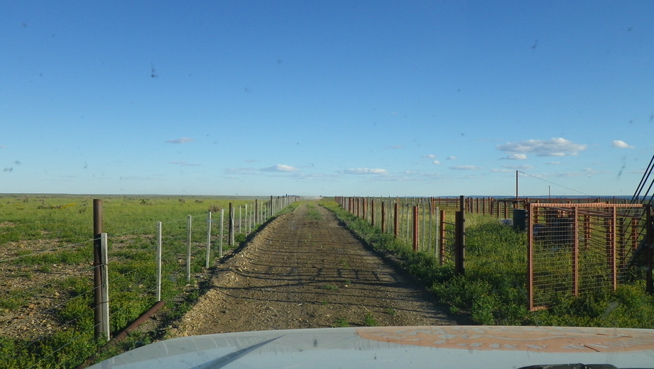 Huella hacia confluencia - Path towards confluence