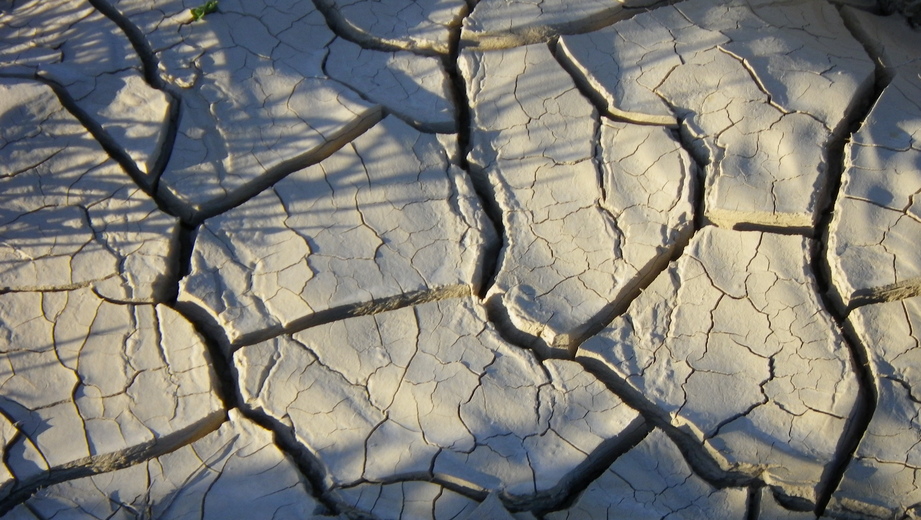 Tierra reseca - Dried soil