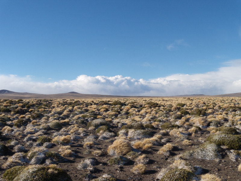 Vista hacia el Norte - View to the North