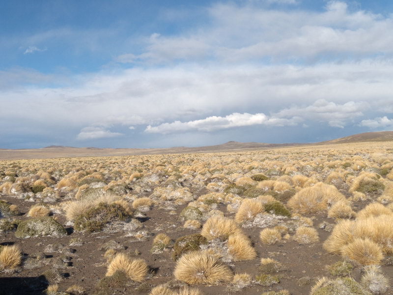 Vista hacia el Este - View to the East