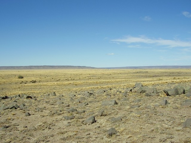 Vista este