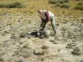 #7: Agregando una piedra a la apacheta