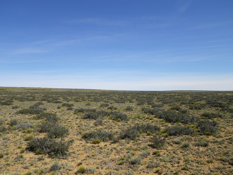 Vista hacia el Sur - View to the South