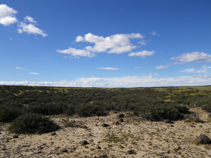 Vista hacia el Norte - View to the North