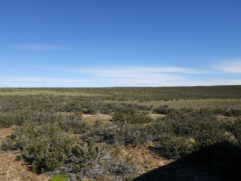 Vista hacia el Sur - View to the South