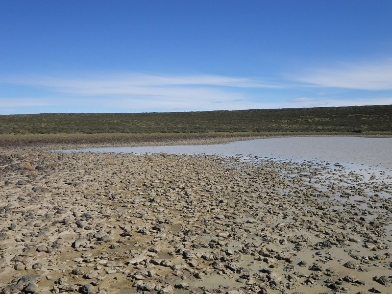 Laguna cerca de la confluencia - Small lagoon near the confluence