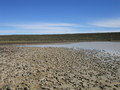 #8: Laguna cerca de la confluencia - Small lagoon near the confluence