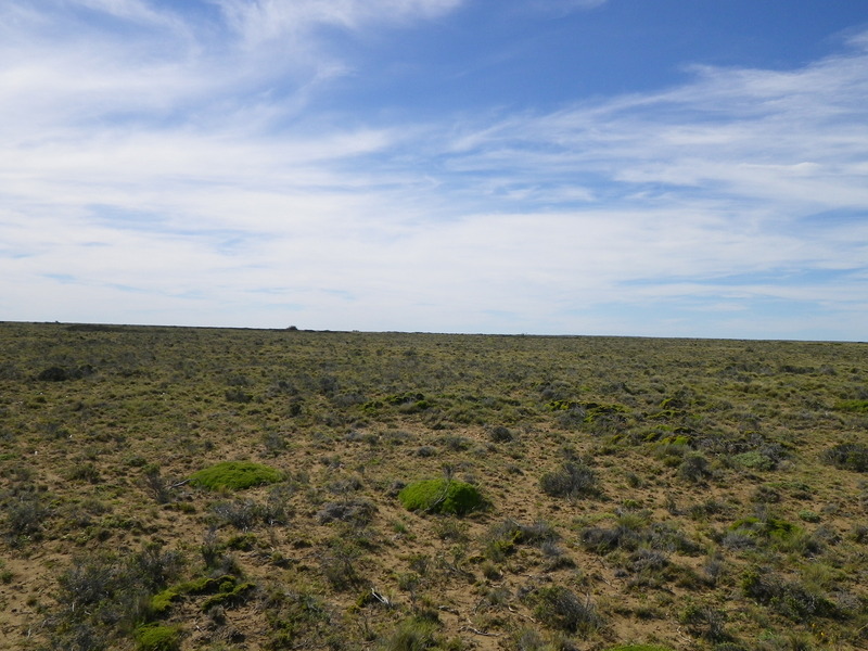 Vista Hacia el Norte - View to the North