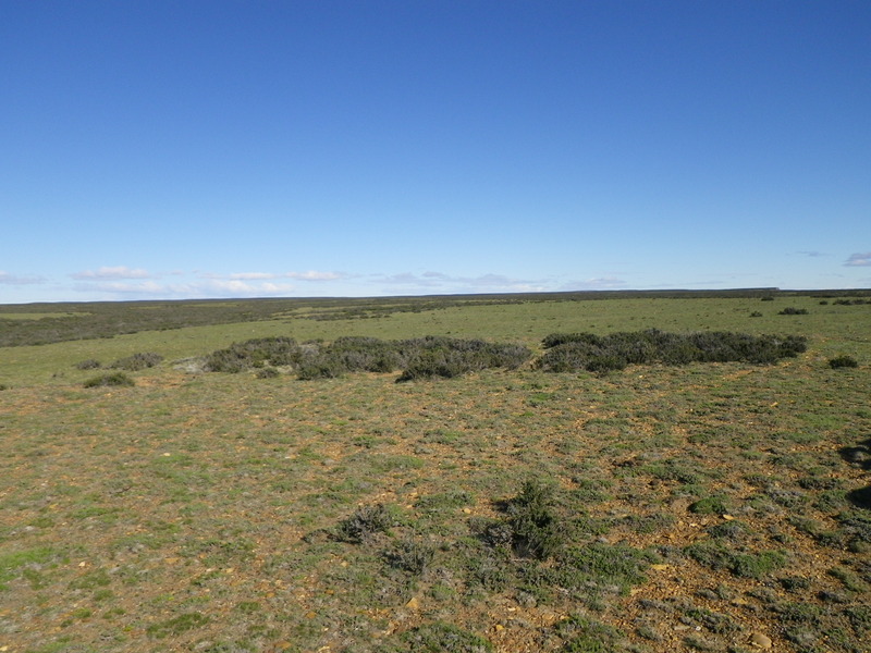 Vista Hacia el Oeste - View to the West