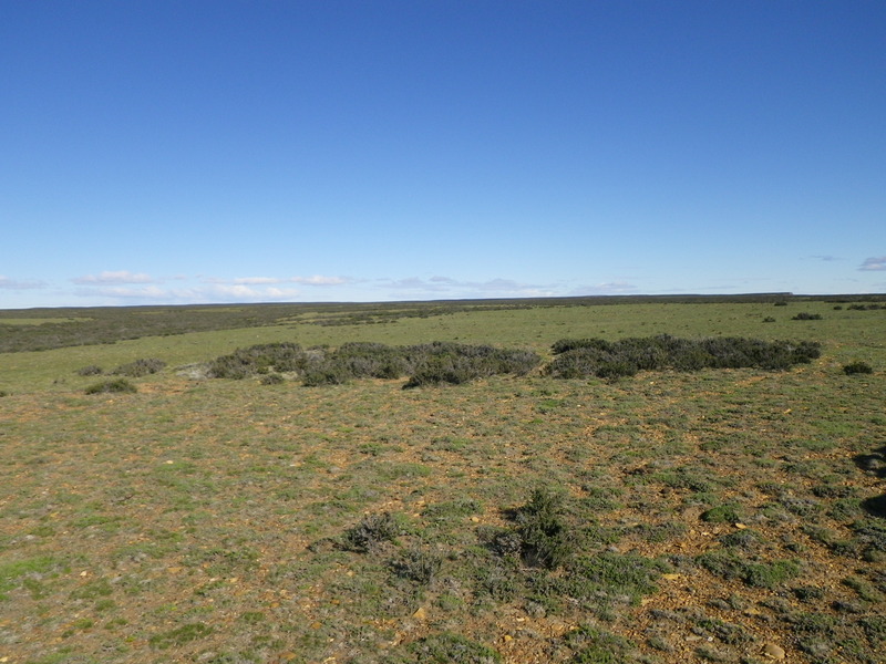 Vista Hacia el Oeste - View to the West