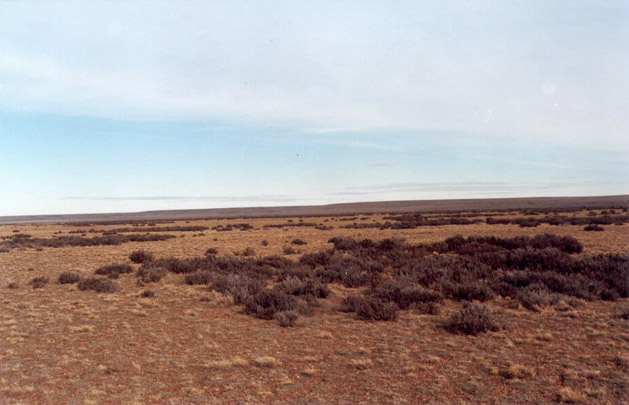 south view from the confluence