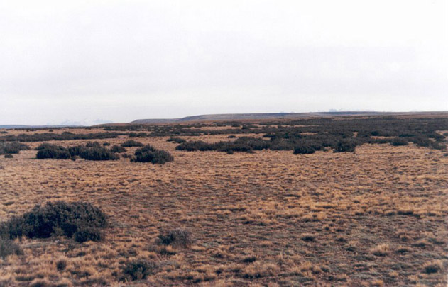 west view from the confluence