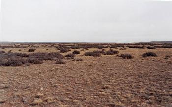 #1: panoramic view of the confluence