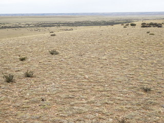 #1: The Confluence from 10 m