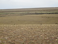 #5: View to the East