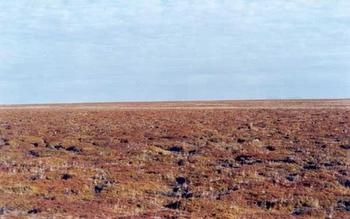 #1: 100 meters panoramic view of the confluence