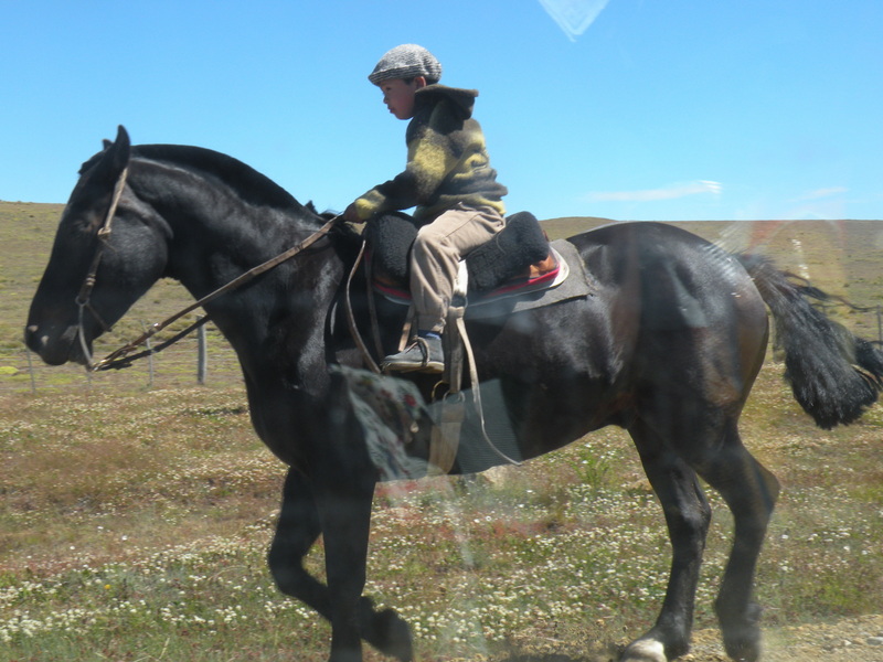 Young Gaucho on his Horse