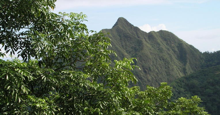 At 2142 feet (653m), Matafao Peak would make a better observation point, but the heavily overgrown trail requires a machete.
