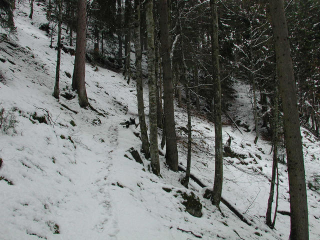 footpath to the confluence