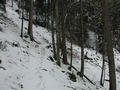 #3: footpath to the confluence