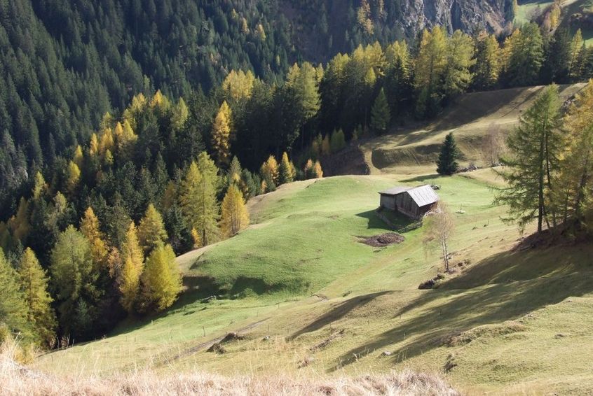 meadows in autumn sunshine ready for the first snow