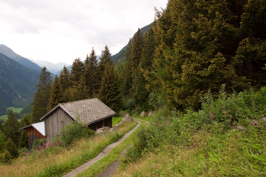 View South (down the doubtrack, towards a nearby holiday house)