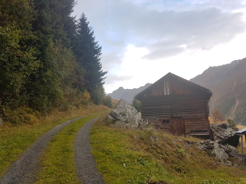 Reaching Confluence behind the hut & the coniferes on the uphill side of the gravel road