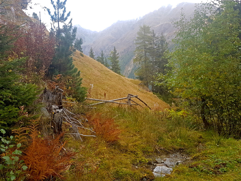 Steep hay fields and pastures - the effort of farming on 45°